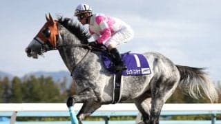 【大井・東京スプリント枠順確定】リュウノユキナは2枠2番、ルーチェドーロは5枠6番