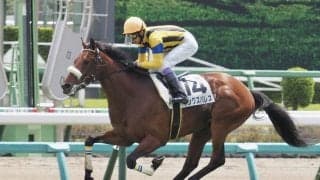 【中山4R】武豊 キングズパレスが豪快な差し切り