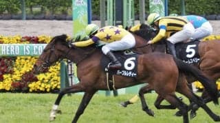 【野島崎特別】ディープ産駒 パープルレディが差し切り