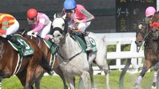 【アンタレスS結果】オメガパフュームが斤量59kgをものともせず貫録の差し切りV