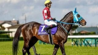 【中山グランドJ】売上は前年比78.1%、オジュウチョウサンがJGI・9勝目