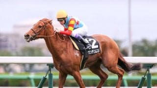 【袖ヶ浦特別】武豊 マウンテンムスメが人気に応える