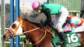 【福島牝馬S登録馬】クリノプレミアムなど17頭