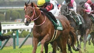 【AI予想・マイラーズC】GIIなら鉄板!? あの「阪神巧者」がGI谷間に満を持して登場