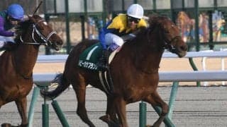 【福島牝馬S想定騎手】ルビーカサブランカは武豊騎手、アナザーリリックは津村明秀騎手