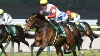 現状ベストはマイルだが、もう少し長い距離で活躍する可能性も…？