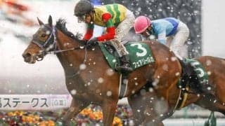 【福島牝馬S展望】ヴィクトリアM前哨戦、近年は差し馬の台頭が目立つ