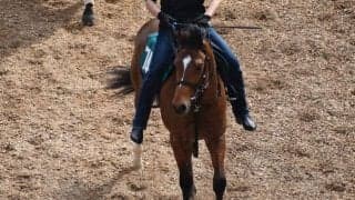 ドウフォルスなど、先週のゲート試験/栗東トレセンニュース