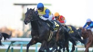 【マイラーズC】雪辱に燃えるエアロロノア 新時代のマイル王へ