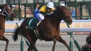 【福島牝馬S予想オッズ】ルビーカサブランカが予想1番人気