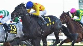 【マイラーズC予想オッズ】カラテが予想1番人気