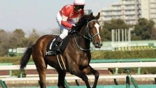 【フローラS展望】オークスの重要トライアル、前走マイル組は苦戦傾向