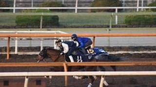 マカオンドール、天皇賞春1週前追い切り速報/栗東トレセンニュース