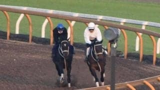 ディープボンド、天皇賞春1週前追い切り速報/栗東トレセンニュース