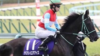 【JRA】阪神JF2着ラブリイユアアイズはノド鳴りで休養へ、黒岩師「手術を行う方向」