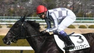 【フローラS予想】紛れの多い牝馬限定トライアル AIの推しは“2つの強み”をもつ伏兵馬