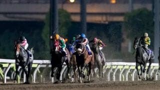 【東京スプリント】シャマルが大接戦を制する