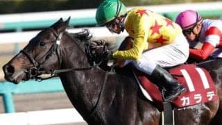 【マイラーズC展望】安田記念に向けた前哨戦、重賞実績馬強し