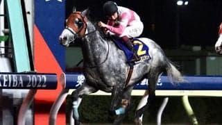 【東京スプリント】横山武「残念」レース後ジョッキーコメント