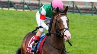 【JRA】スプリングS2着アライバルは春全休、放牧先で左肩痛める