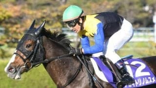 アカイトリノムスメが骨折　休養期間は未定