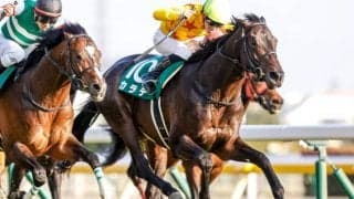 【マイラーズC出走馬・騎手確定】カラテ＆菅原明良騎手、ホウオウアマゾン＆坂井瑠星騎手など15頭