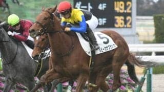 【福島牝馬S出走馬・騎手確定】ルビーカサブランカ＆武豊騎手、アブレイズ＆菅原明良騎手など16頭