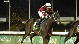 【海外競馬】ミッドナイトバーボンが急死　サウジCやドバイWCで日本馬と対戦