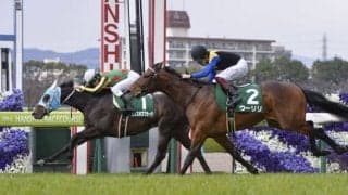 ランスオブプラーナが競走馬登録抹消