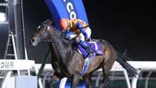 【門別・コスモバルク記念結果】テーオーフォースが2馬身差でシーズン最初の重賞を制す