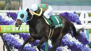 【JRA】ランスオブプラーナが船橋競馬に移籍　2019年毎日杯覇者