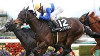 マイラーズＣは「阪神・芝1600ｍ」の重賞でダントツの勝利数を誇る、ディープインパクト産駒から２頭をピックアップ