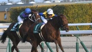 【福島牝馬S枠順確定】ルビーカサブランカは8枠15番、アブレイズは6枠12番