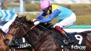 【JRA】昨年菊花賞3着の牝馬ディヴァインラヴが競走馬登録を抹消