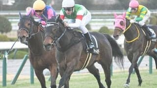 【福島牝馬S予想】距離延長馬が不振傾向。昇級馬に妙味ありも不安残る「あの馬」