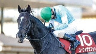 【JRA】ゴーフォザサミットが引退、馬事公苑で乗馬に　2018年青葉賞覇者