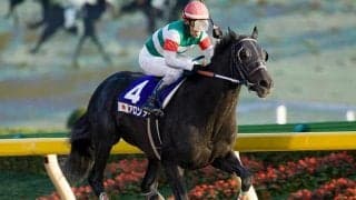 アロンダイトとジャガーメイルが移動、岡山県のオールド・フレンズ・ジャパンへ