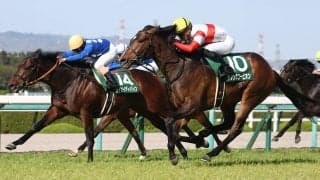 【アーリントンC】ダノンスコーピオンが人気に応える