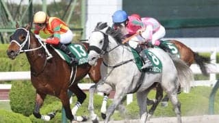 【アンタレスS】オメガパフュームが貫禄の勝利