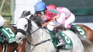 【アンタレスS】横山和「競馬に行けばダイナミック」オメガパフューム貫禄の勝利