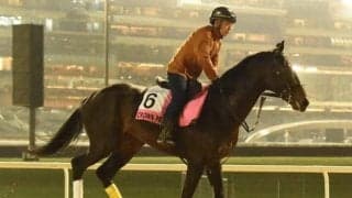 米遠征中のクラウンプライド、ベルに驚き放馬もアウトライダーの活躍で無事確保　人馬とも怪我なし