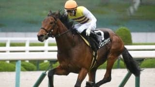 【あやめ賞結果】セイウンプラチナが逃げ切って2勝目