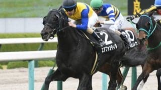 【マイラーズC予想】決め手はディープインパクト並み!? それでも疑うデータ的な理由