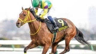 【次走】クロスマジェスティはラジオNIKKEI賞へ　今年のアネモネS覇者