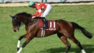 【フローラS前日オッズ】ルージュスティリアが2.8倍で1番人気