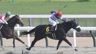 【オアシスS】サンダーブリッツがオープン初勝利