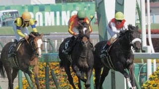 【新緑賞】ハービンジャー産駒 キャルレイが差し切る