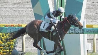 【東京8R】グリンデルヴァルトの大逃げが炸裂