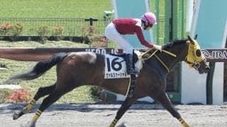 【東京6R】ヴァルツァーシャルが直線一気を決める