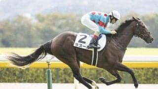 【フローラS予想】3歳牝馬達のオークス本番に向けた見逃せない1戦